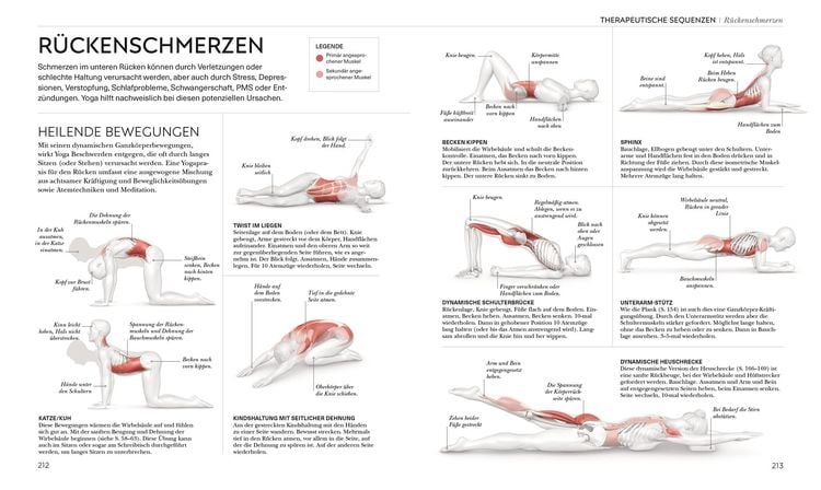 Yoga verstehen - Die Anatomie der Yoga-Haltungen