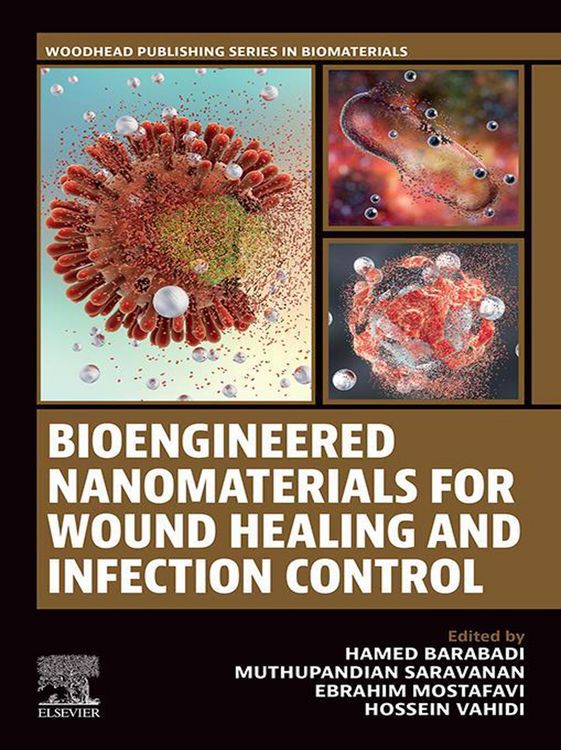 Produktbild: Bioengineered Nanomaterials for Wound Healing and Infection Control