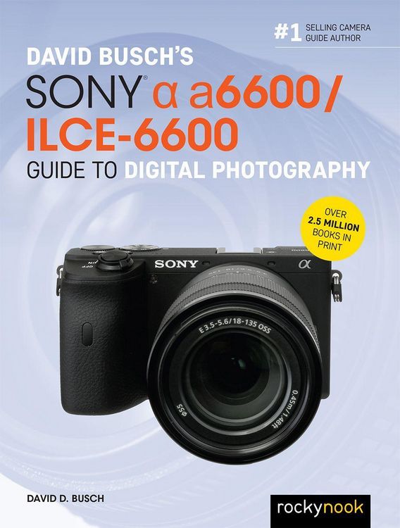 Produktbild: David Busch's Sony Alpha A6600/Ilce-6600 Guide to Digital Photography
