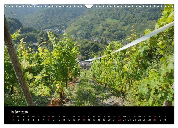 Produktbild: Sch&ouml;ne Mosel (Wandkalender 2026 DIN A3 quer), CALVENDO Monatskalender
