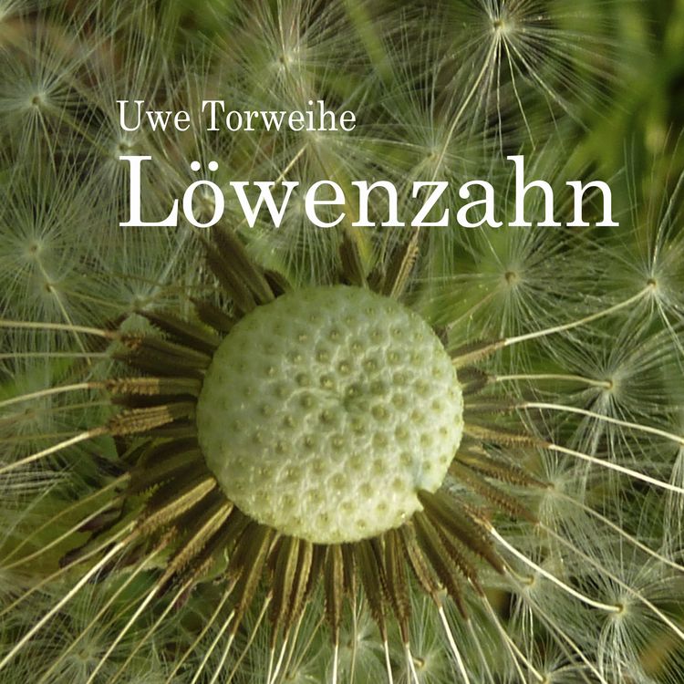 Produktbild: L&ouml;wenzahn