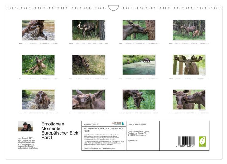 Produktbild: Emotionale Momente: Europ&auml;ischer Elch Part II (Wandkalender 2026 DIN A3 quer), CALVENDO Monatskalender