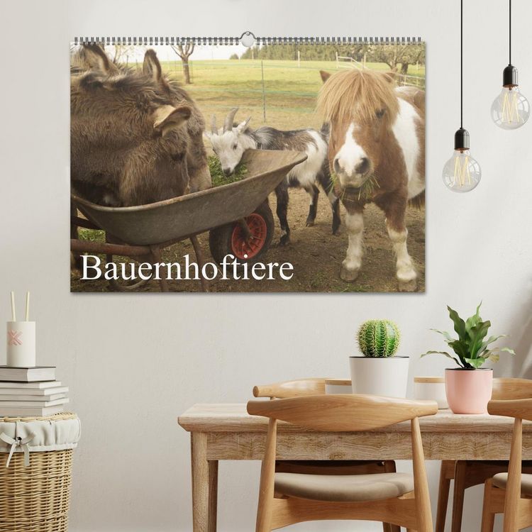 Produktbild: Bauernhoftiere (Wandkalender 2026 DIN A2 quer), CALVENDO Monatskalender