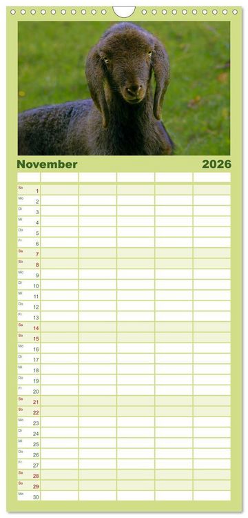 Produktbild: Familienplaner 2026 - Muh, M&auml;h, Miau & Co mit 5 Spalten (Wandkalender, 21 x 45 cm) CALVENDO