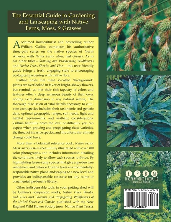 Produktbild: Native Ferns, Moss, and Grasses