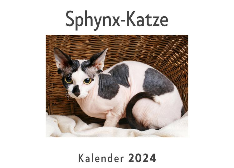 Produktbild: Sphynx-Katze (Wandkalender 2024, Kalender DIN A4 quer, Monatskalender im Querformat mit Kalendarium, Das perfekte Geschenk)
