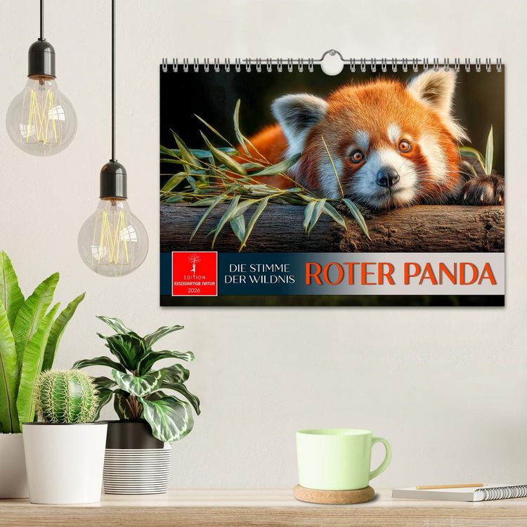 Produktbild: Roter Panda - die Stimme der Wildnis (Wandkalender 2026 DIN A4 quer), CALVENDO Monatskalender