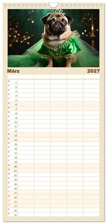 Produktbild: Familienplaner 2027 - Kleine Hunde - Gro&szlig;e Diven mit 5 Spalten (Wandkalender, 21 x 45 cm) CALVENDO