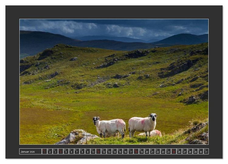 Produktbild: IRLAND - Insel der gl&uuml;cklichen Schafe (hochwertiger Premium Wandkalender 2026 DIN A2 quer), Kunstdruck in Hochglanz