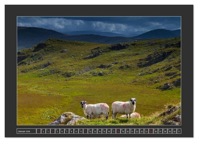 Produktbild: IRLAND - Insel der gl&uuml;cklichen Schafe (Wandkalender 2026 DIN A3 quer), CALVENDO Monatskalender