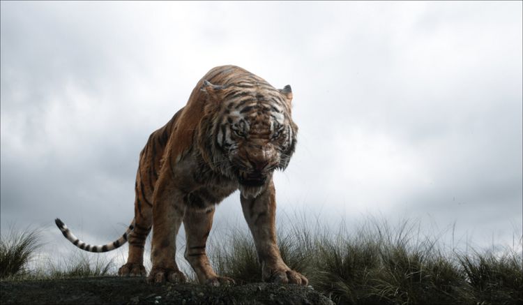 Produktbild: The Jungle Book (4K Ultra HD) (+ Blu-ray 2D)