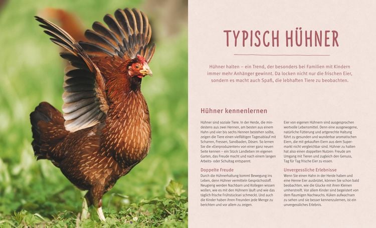 Produktbild: H&uuml;hner halten