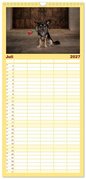 Produktbild: Familienplaner 2027 - Chihuahuas - Cool and Cute mit 5 Spalten (Wandkalender, 21 x 45 cm) CALVENDO