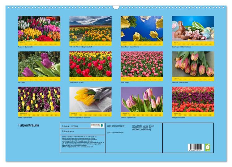 Produktbild: Tulpentraum (Wandkalender 2026 DIN A2 quer), CALVENDO Monatskalender