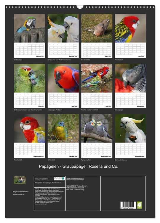 Produktbild: Papageien - Graupapagei, Rosella und Co. (Wandkalender 2026 DIN A2 hoch), CALVENDO Monatskalender