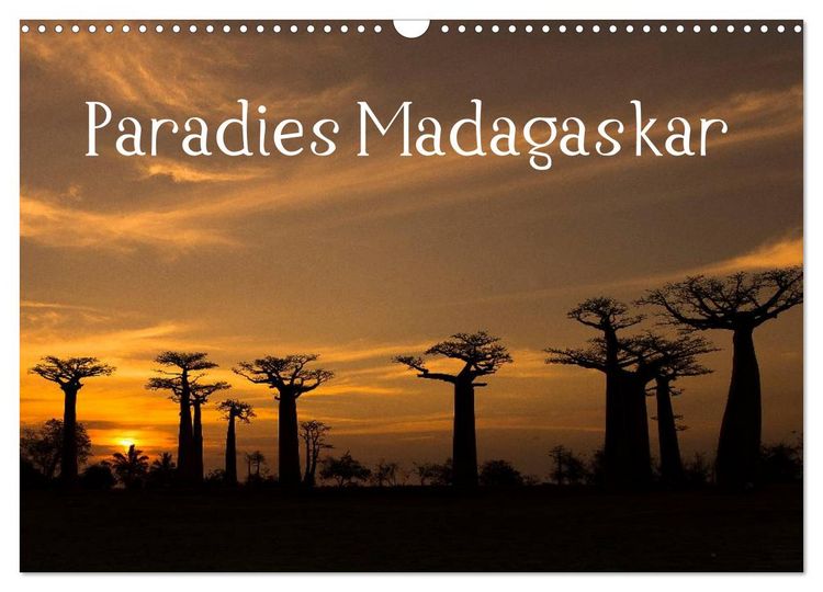 Produktbild: Paradies Madagaskar (Wandkalender 2026 DIN A3 quer), CALVENDO Monatskalender