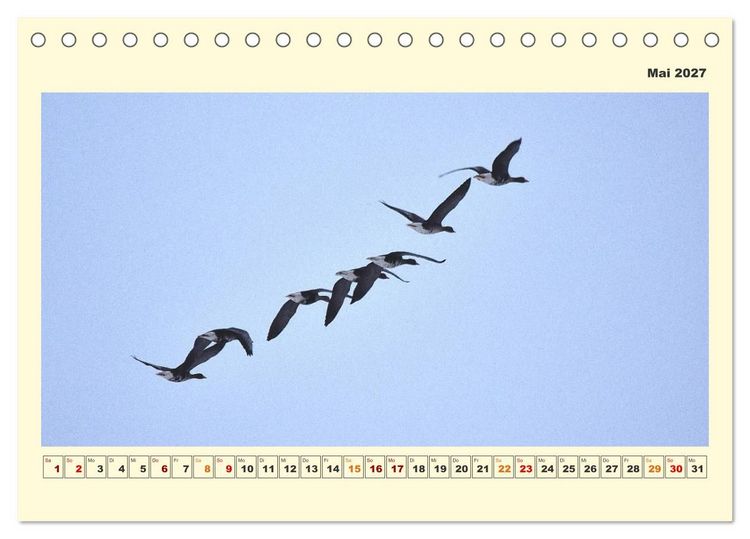 Produktbild: Tierwelt der W&uuml;mmeniederung (Tischkalender 2027 DIN A5 quer), CALVENDO Monatskalender