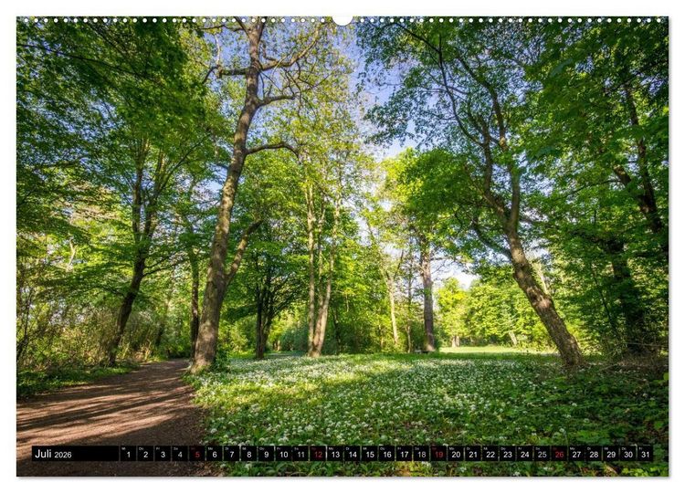 Produktbild: Mannheim ist Sch&ouml;n! (Wandkalender 2026 DIN A2 quer), CALVENDO Monatskalender