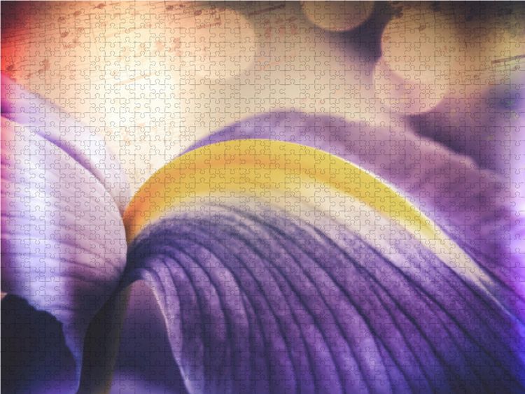 Produktbild: CALVENDO Puzzle Iris-Bl&uuml;te, blau 1000 Teile Lege-Gr&ouml;&szlig;e 64 x 48 cm Foto-Puzzle Bild von Foto-FukS