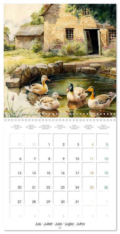 Produktbild: Regard sur la ferme (Calendrier mural carr&eacute; 2026 30x30 cm) Calendrier double avec une page pour vos prises de notes