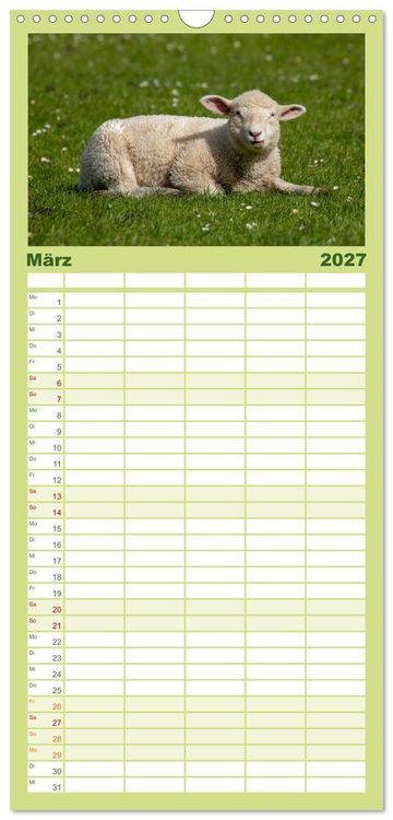 Produktbild: Familienplaner 2027 - Deichschafe - H&uuml;ter der Deiche in Nordfriesland mit 5 Spalten (Wandkalender, 21 x 45 cm) CALVENDO