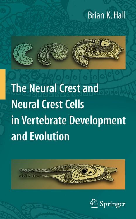 Produktbild: The Neural Crest and Neural Crest Cells in Vertebrate Development and Evolution