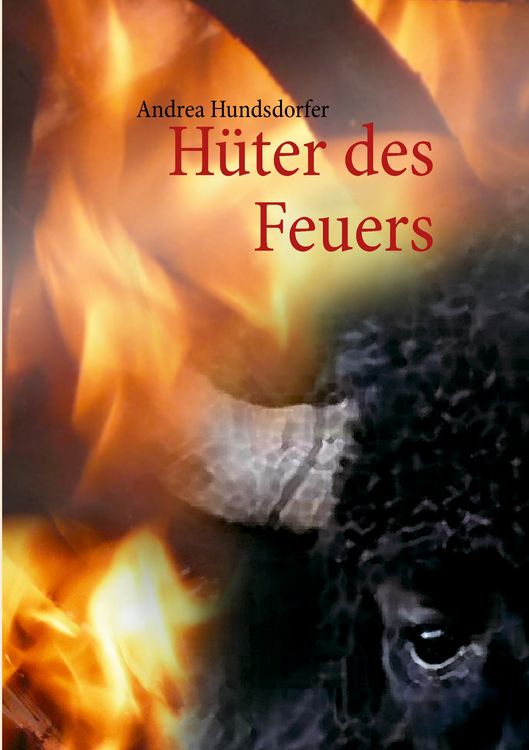 Produktbild: H&uuml;ter des Feuers