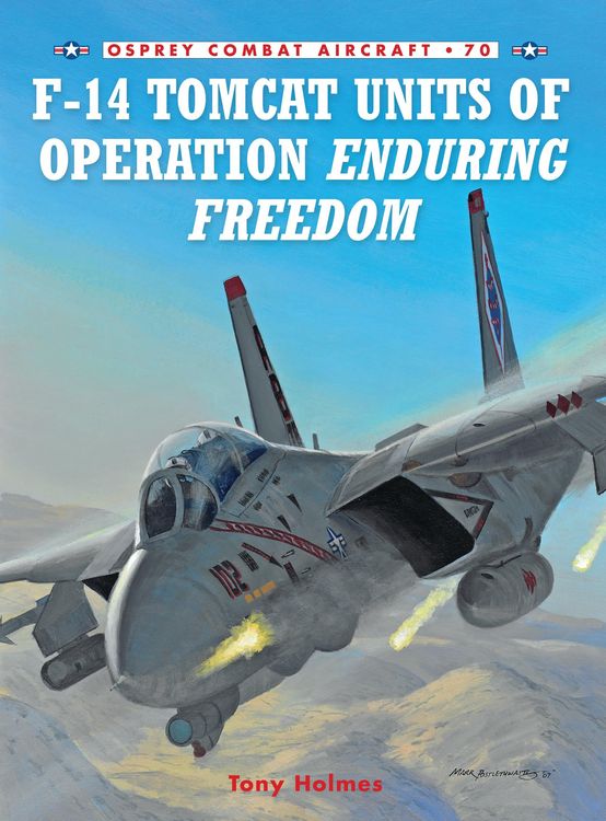 Produktbild: F-14 Tomcat Units of Operation Enduring Freedom