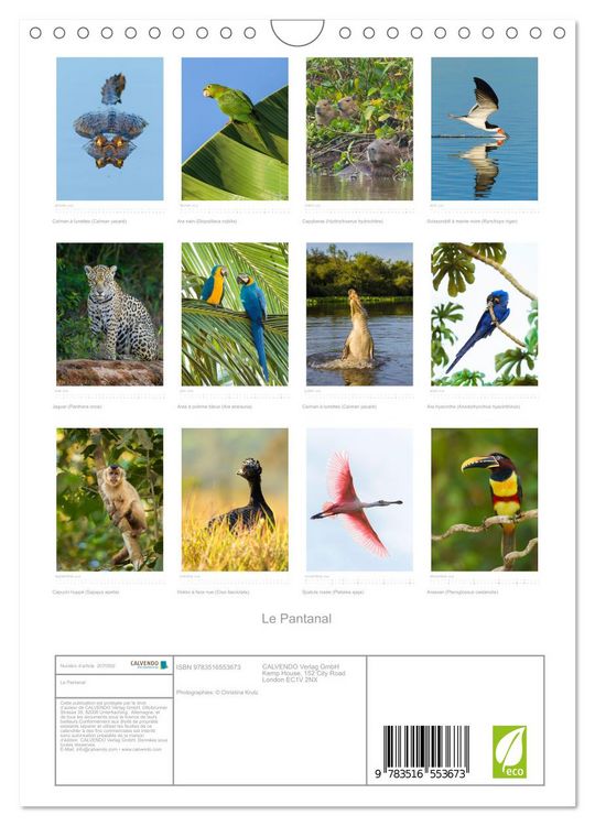 Produktbild: Le Pantanal (Calendrier mural 2026 DIN A4 horizontal), CALVENDO calendrier mensuel