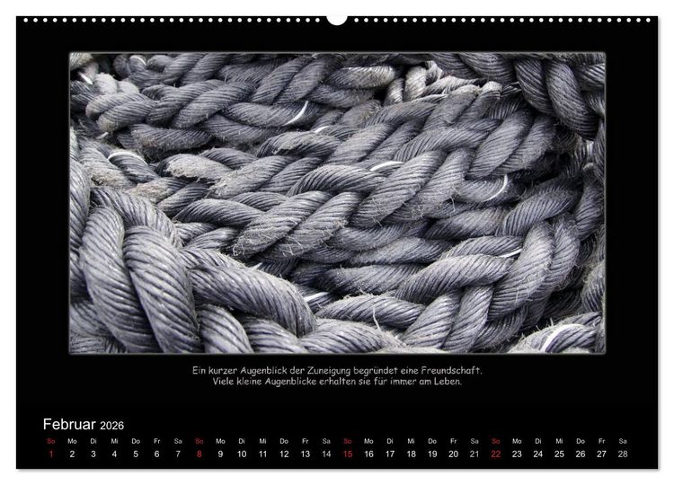 Produktbild: Freundschaft (Wandkalender 2026 DIN A2 quer), CALVENDO Monatskalender