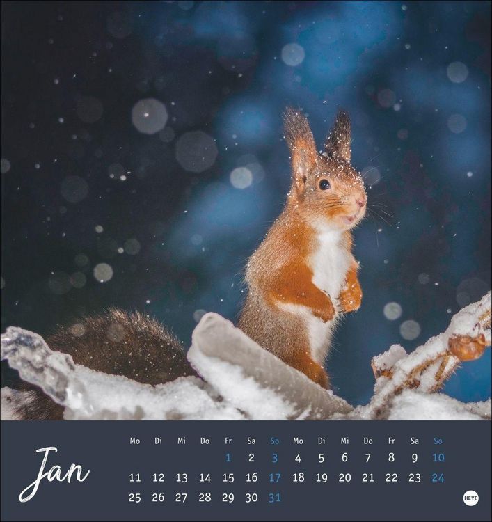 Produktbild: Eichh&ouml;rnchen Postkartenkalender 2027