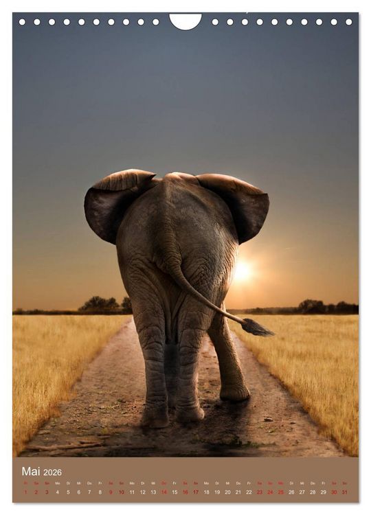 Produktbild: Portraits of Animals (Wandkalender 2026 DIN A4 hoch), CALVENDO Monatskalender