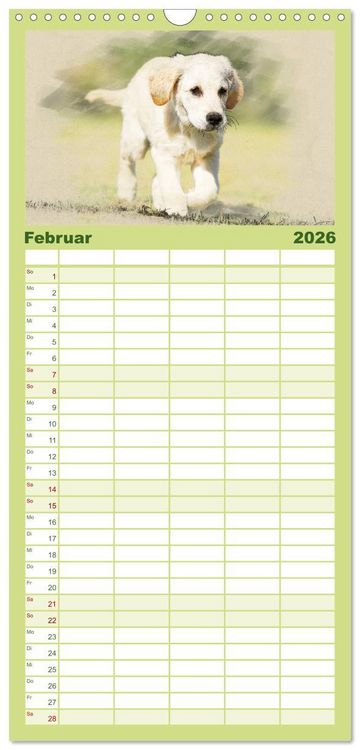 Produktbild: Familienplaner 2026 - Golden Retriever mit 5 Spalten (Wandkalender, 21 x 45 cm) CALVENDO