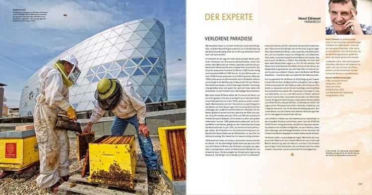 Produktbild: Die Wege des Honigs