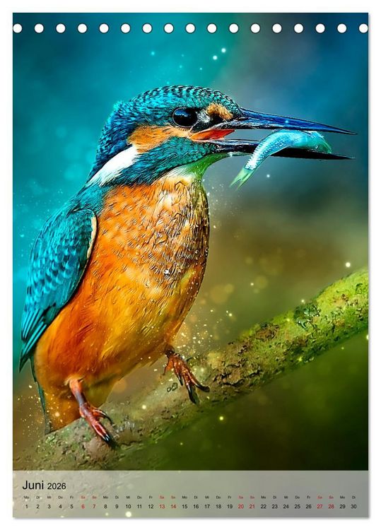 Produktbild: Schillernder Eisvogel (Tischkalender 2026 DIN A5 hoch), CALVENDO Monatskalender