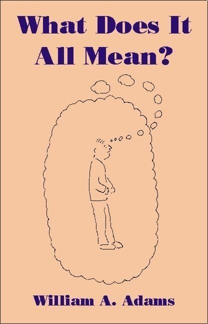 Produktbild: What Does It All Mean
