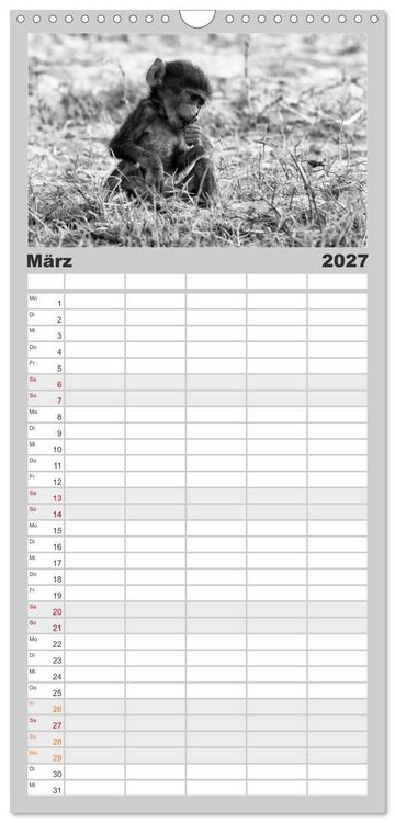 Produktbild: Familienplaner 2027 - Afrika Schwarz - Weiss mit 5 Spalten (Wandkalender, 21 x 45 cm) CALVENDO