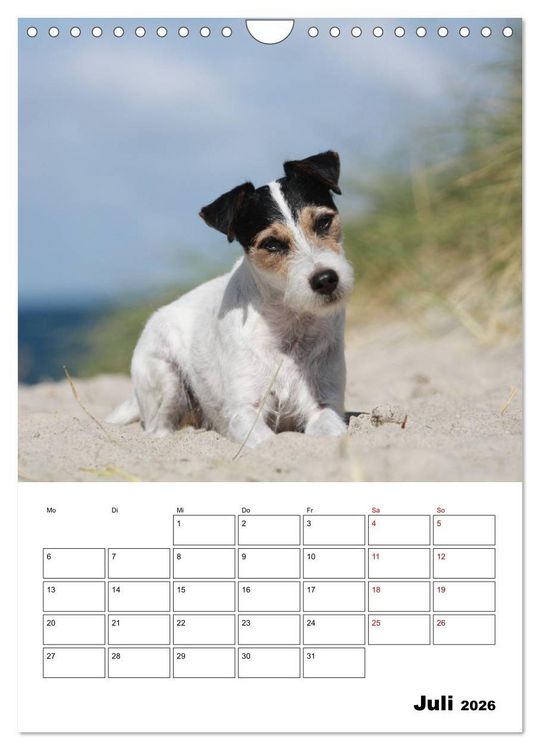 Produktbild: Tender Fellows - Parson Russell Terrier (Wandkalender 2026 DIN A4 hoch), CALVENDO Monatskalender