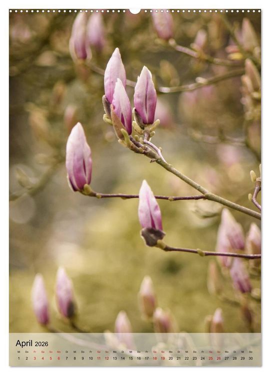 Produktbild: Fr&uuml;hlingsreif (hochwertiger Premium Wandkalender 2026 DIN A2 hoch), Kunstdruck in Hochglanz