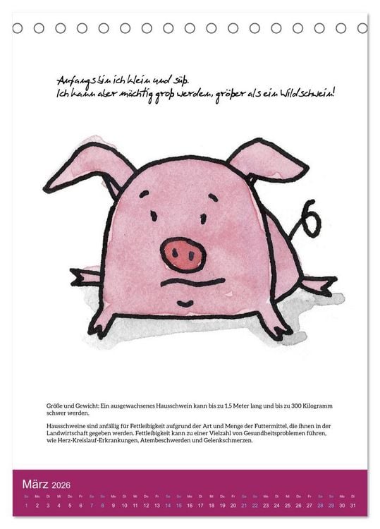 Produktbild: Schweinekalender - Alles was du &uuml;ber Schweine wissen wolltest! (Tischkalender 2026 DIN A5 hoch), CALVENDO Monatskalender