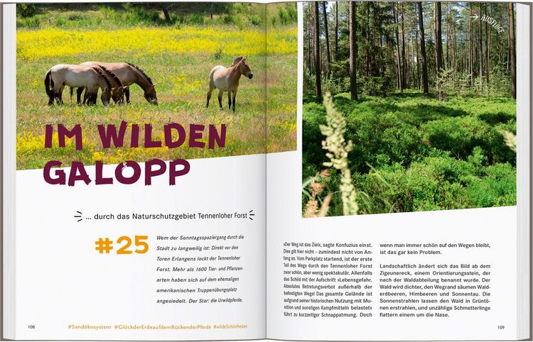 Produktbild: 52 kleine & gro&szlig;e Eskapaden N&uuml;rnberg, F&uuml;rth und Erlangen