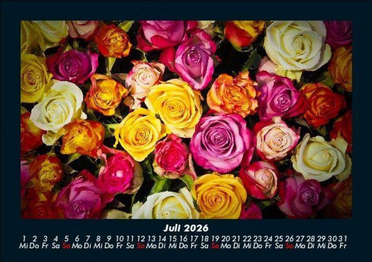 Produktbild: Rosen-Kalender 2026 Fotokalender DIN A5