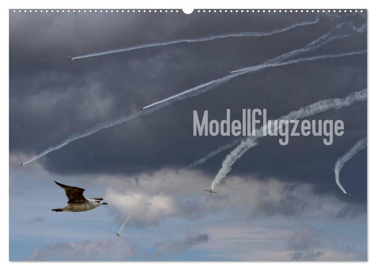 Produktbild: Modellflugzeuge Nr. 1 / 2026 (Wandkalender 2026 DIN A2 quer), CALVENDO Monatskalender