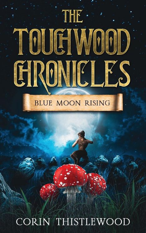 Produktbild: The Touchwood Chronicles