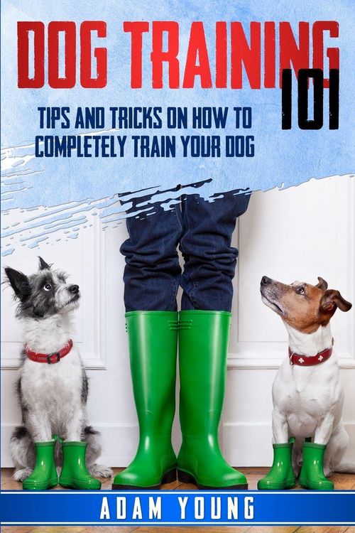Produktbild: Dog Training 101