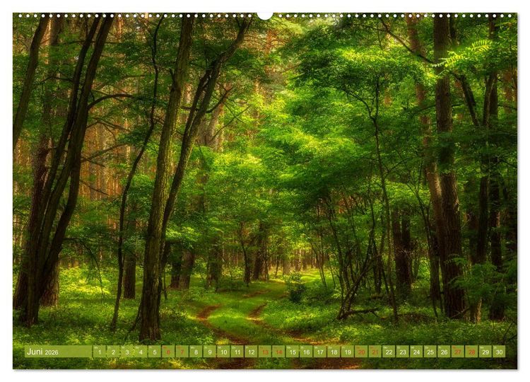 Produktbild: Vom Gebirge bis zum Meer, Alpen/Erzgebirge - Mitteldeutschland - K&uuml;ste (hochwertiger Premium Wandkalender 2026 DIN A2 quer), Kunstdruck in Hochglanz