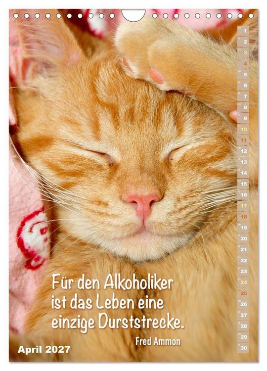 Produktbild: Der literarische Katerkalender (Wandkalender 2027 DIN A4 hoch), CALVENDO Monatskalender