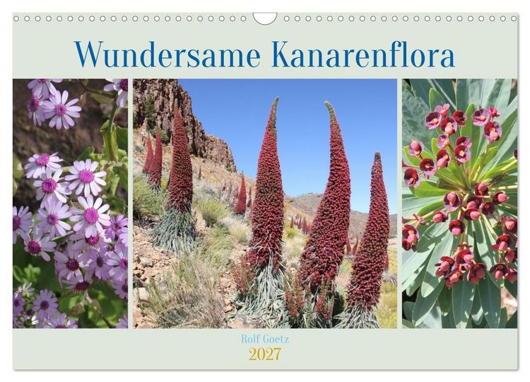 Produktbild: Wundersame Kanarenflora (Wandkalender 2027 DIN A3 quer), CALVENDO Monatskalender