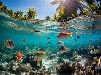 Produktbild: CALVENDO Puzzle Kunterbuntes Treiben unter Wasser - Fische in den Tropen | 1000 Teile Lege-Gr&ouml;&szlig;e 64x48cm Foto-Puzzle f&uuml;r gl&uuml;ckliche Stunden