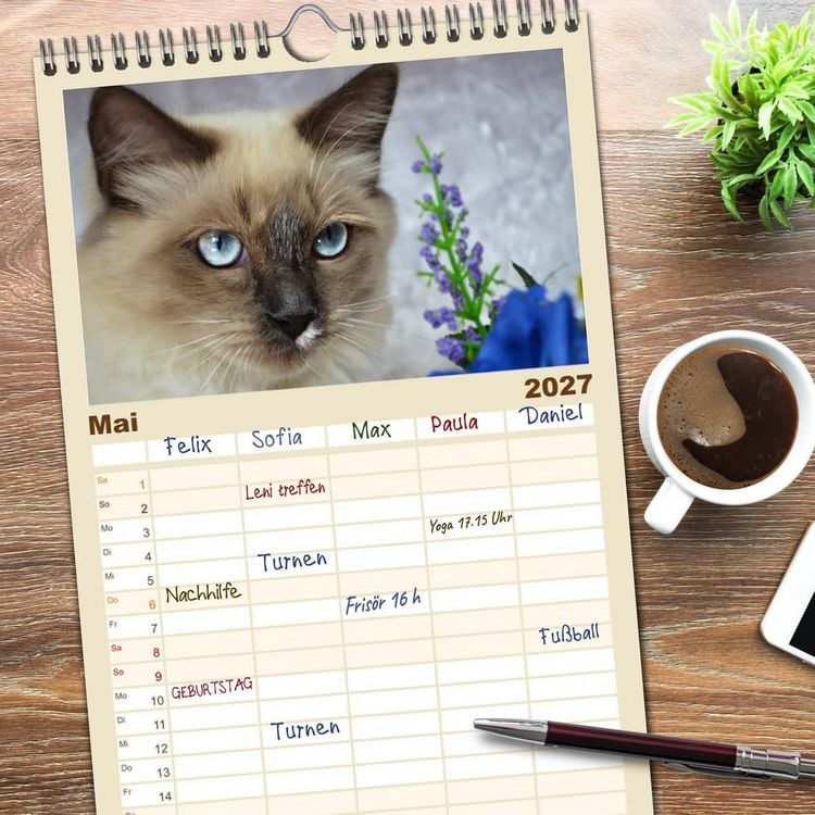 Produktbild: Familienplaner 2027 - Katzen im Portr&auml;t / Geburtstagskalender mit 5 Spalten (Wandkalender, 21 x 45 cm) CALVENDO